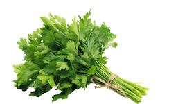 Fresh parsley on white background